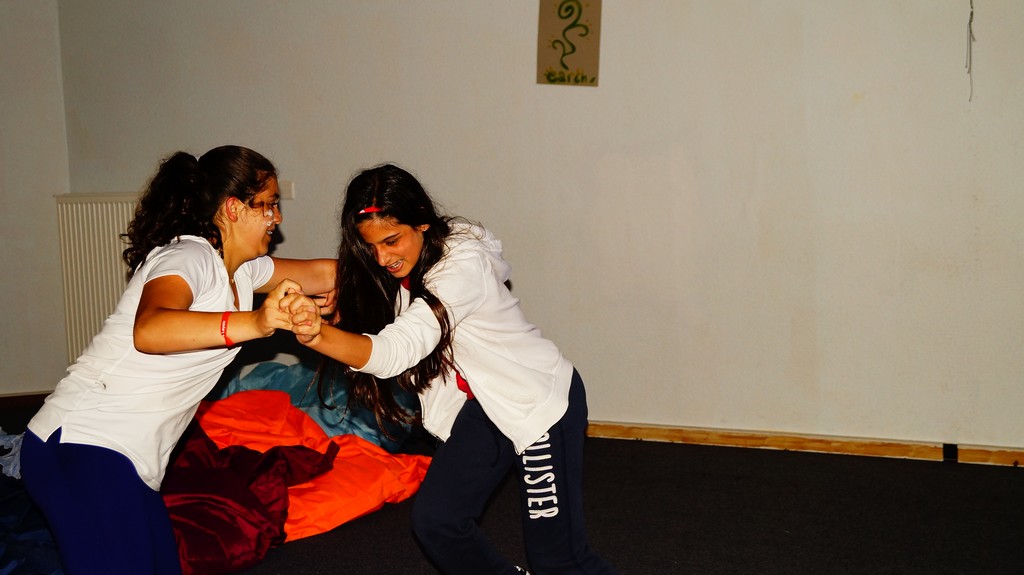 Village Camps International Summer Camp Leysin, Switzerland 2026-08-15 https://www.villagecamps.com/journals_admin/images/1597-6188-4 (13).jpg
